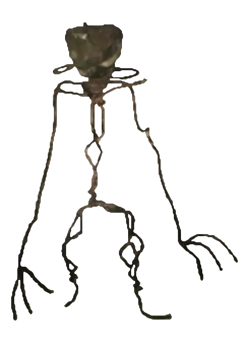 Current Bacteria entity model