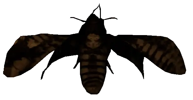 Current Female Deathmoth entity model with skull-like wing marking
