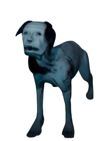 Current Hound entity model